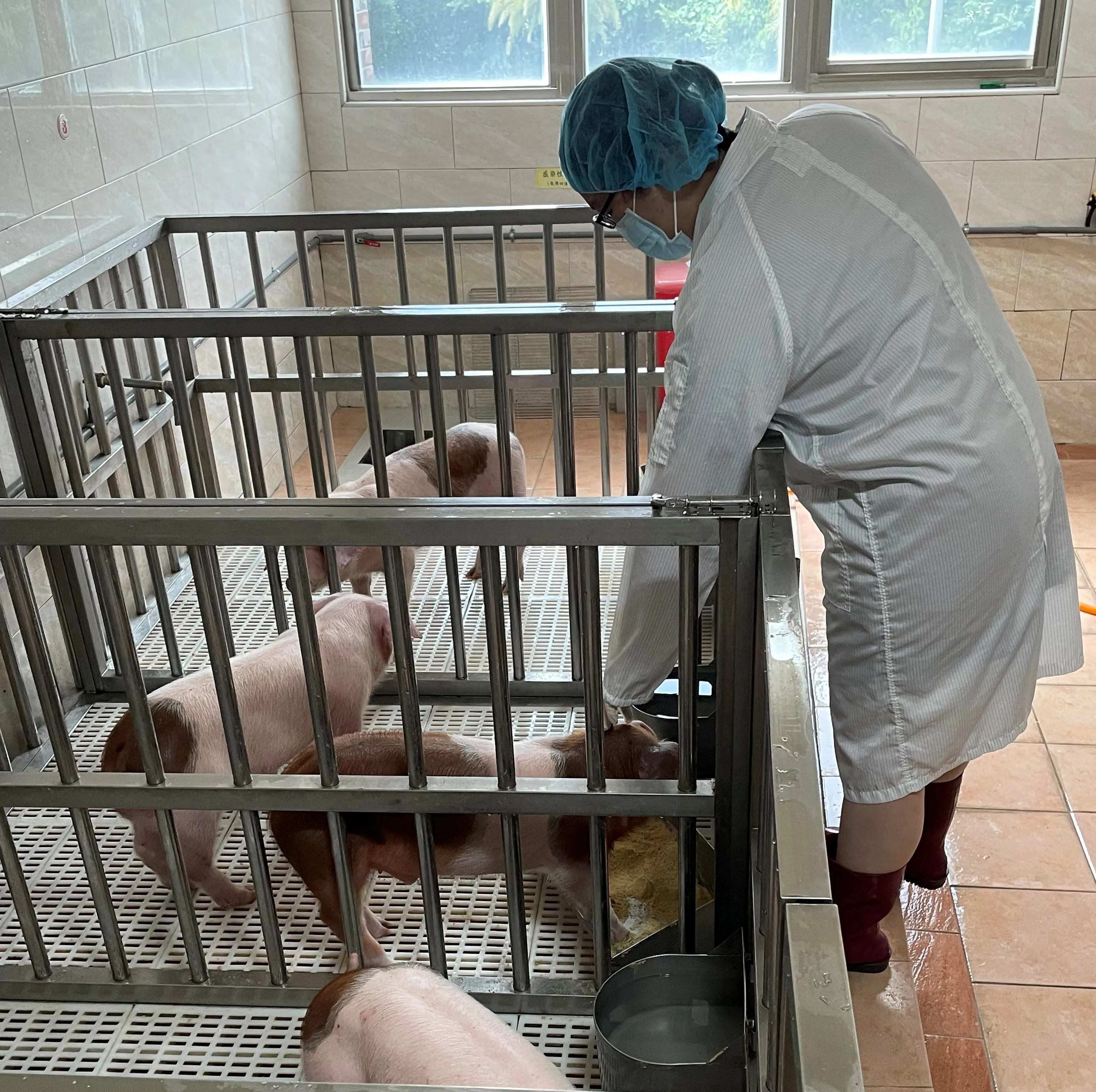 位於醫學院區大體教學大樓設有大小型動物區及P2實驗室等並以人道飼養為根基樹立動物福祉。