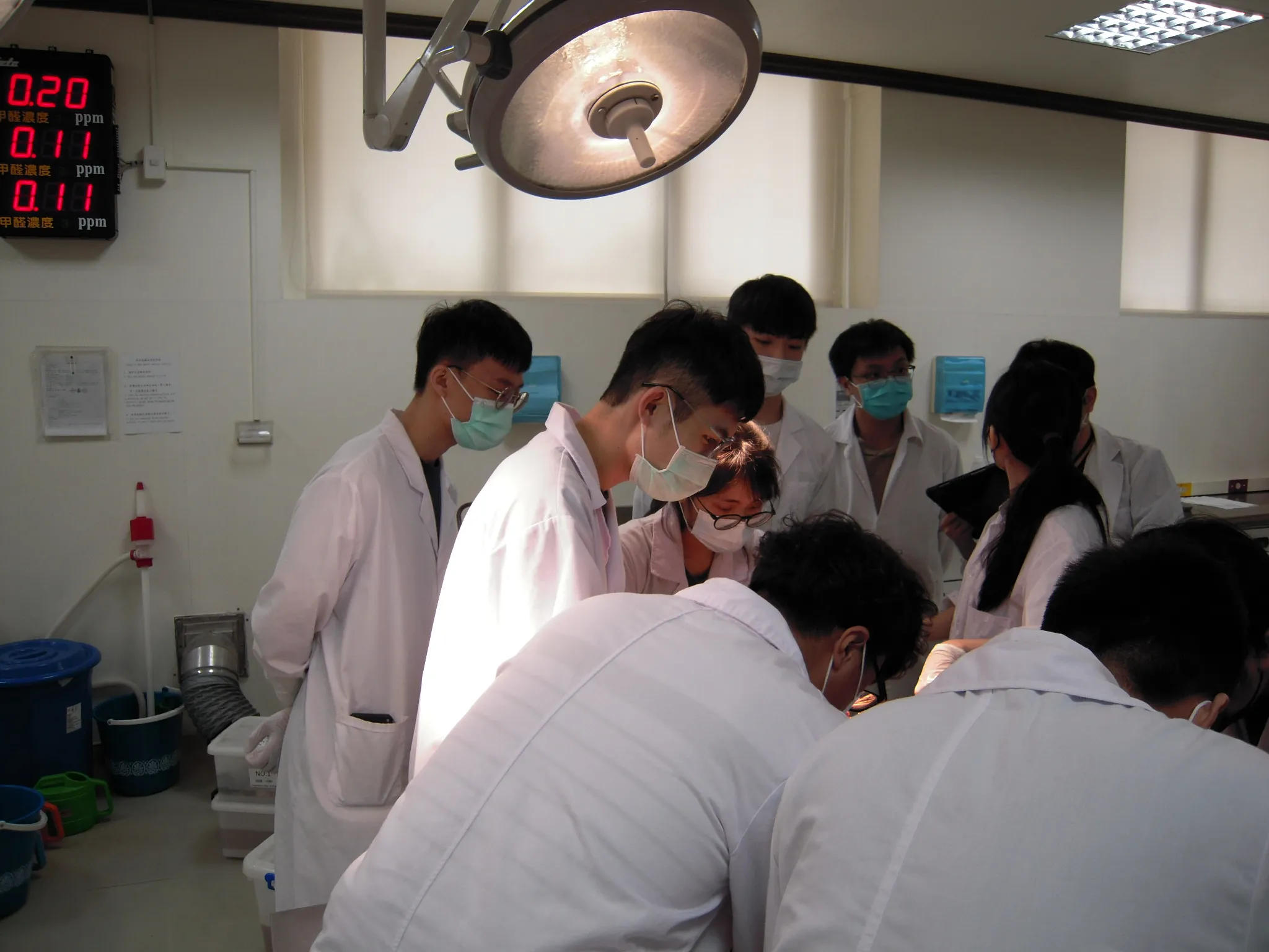 After being explained by teachers, medical students will undergo field practice gross anatomy courses.