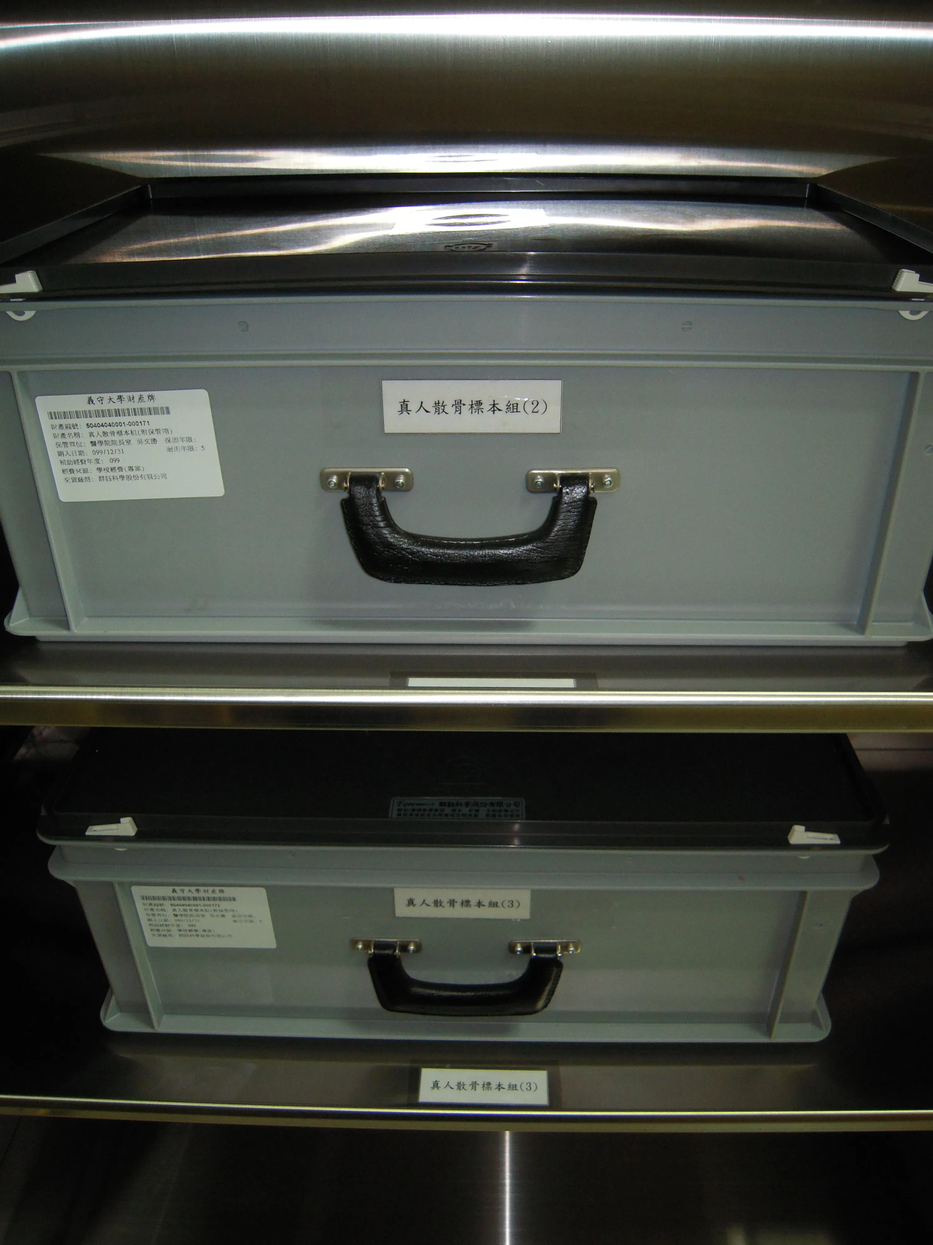 Provide 5 sets of real bone boxes, one box for each group of 10-12 people, abundant resources.