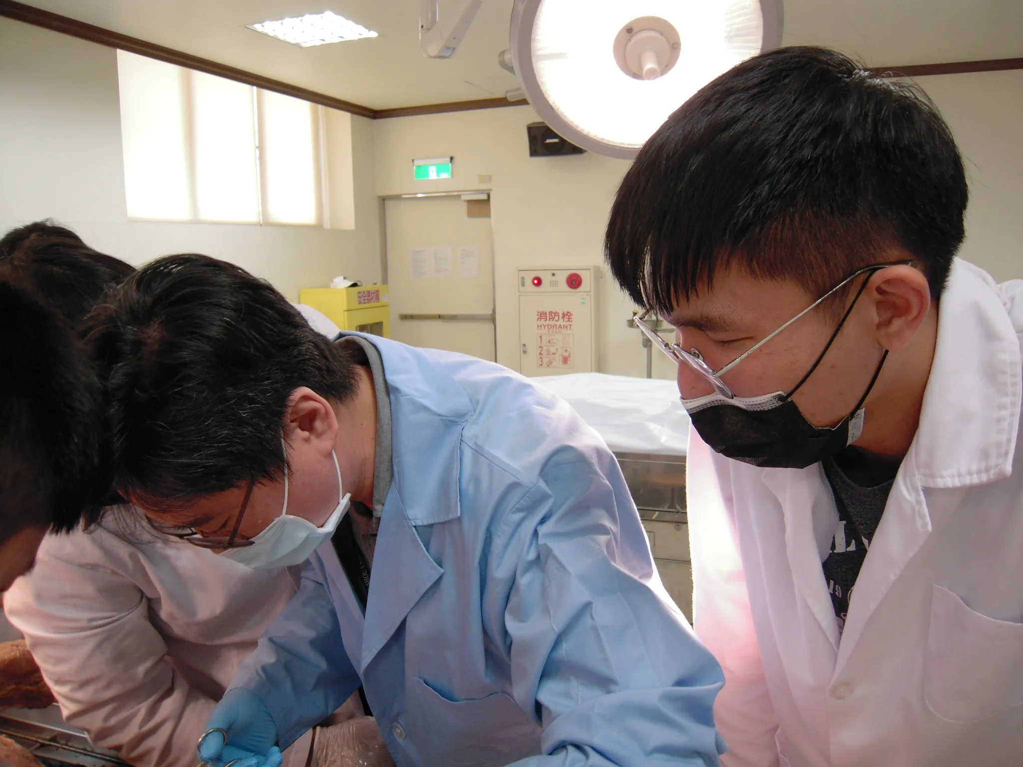 Internship courses are personally explained and taught by instructors, allowing students to understand basic medical knowledge of the human body.
